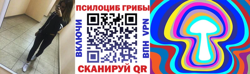 Псилоцибиновые грибы ЛСД Опочка