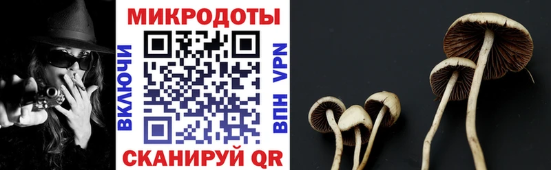 Галлюциногенные грибы GOLDEN TEACHER Купить Опочка